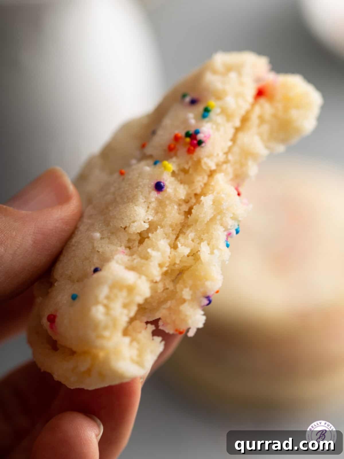 Effortless Sugar Cookies 4 A perfectly baked 3-ingredient sugar cookie broken in half, revealing its tender, buttery interior and inviting texture.