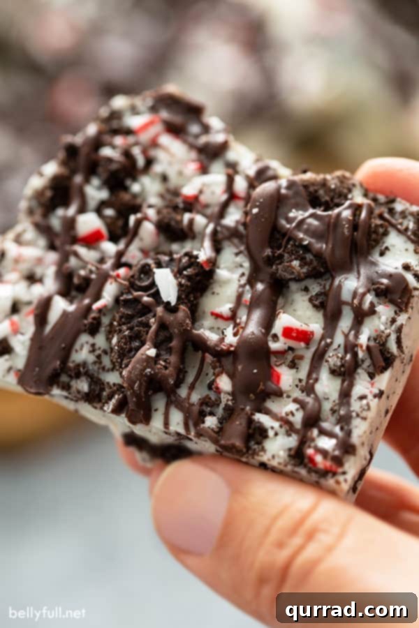 Arctic Mint Oreo Brittle 3 A close-up view of a single, perfectly broken piece of Peppermint Oreo Bark, showcasing its rich texture with visible chocolate layers, crushed Oreo cookies, and sparkling peppermint fragments.