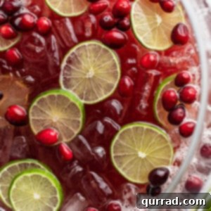 Effortless Festive Drink 7 overhead close up of holiday punch garnished with cranberries and lime slices