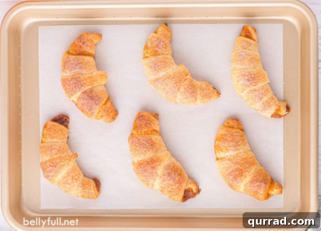 6 baked moon shaped crescent rolls on baking sheet