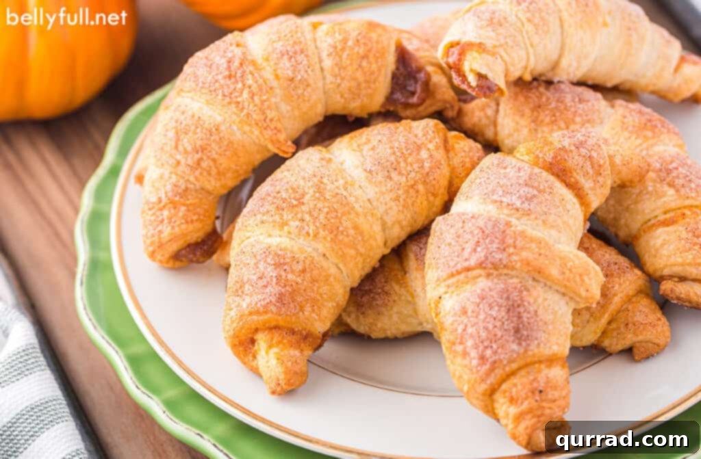cinnamon sugar coated crescent rolls