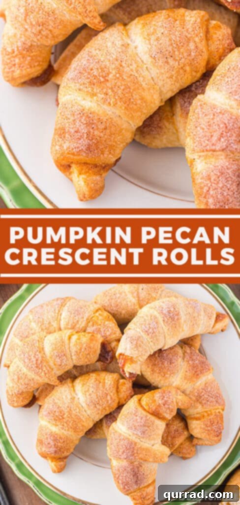 pin for pumpkin pecan crescent rolls recipe