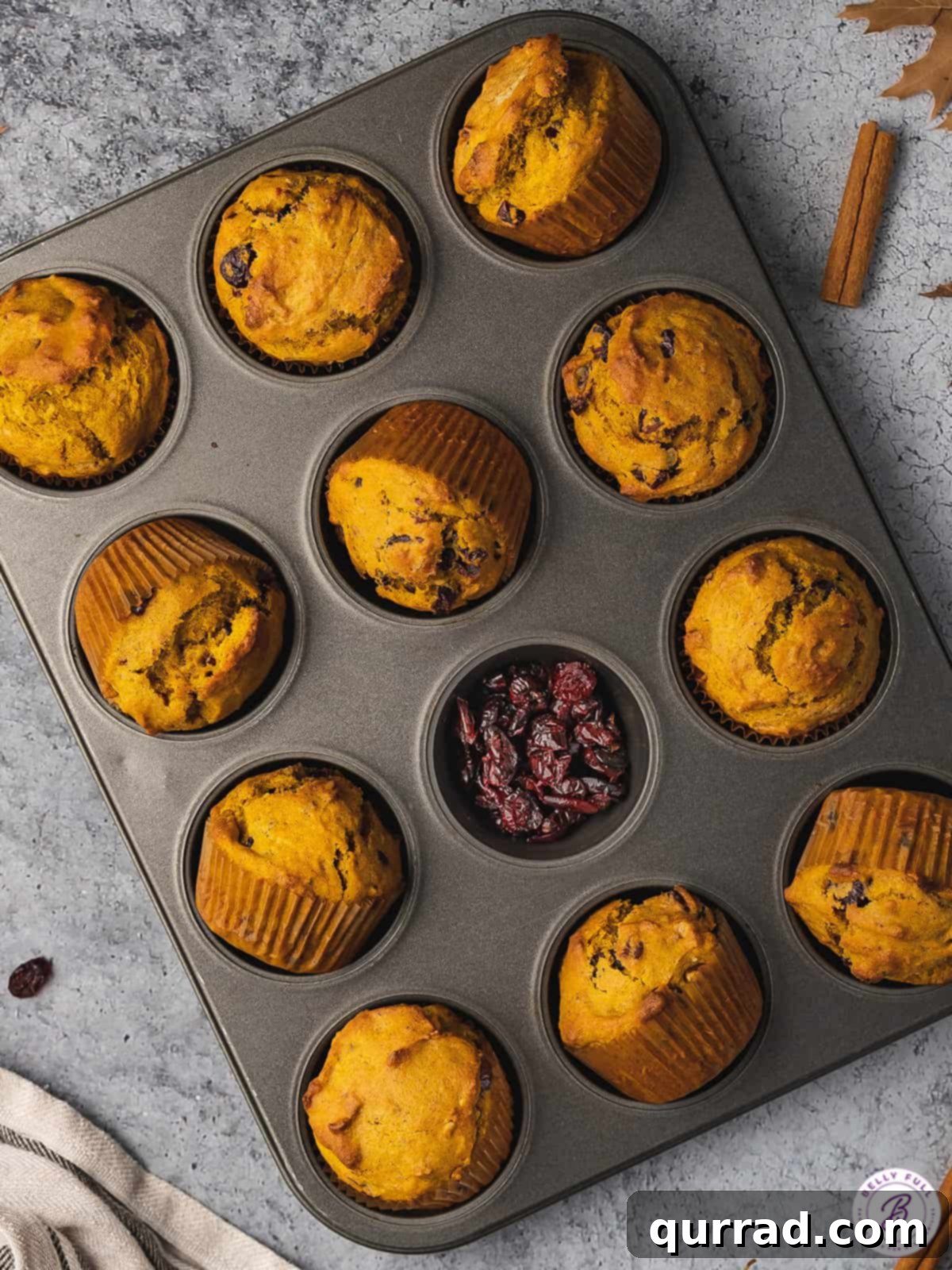 Autumn Spice Cranberry Pumpkin Muffins 3 Freshly baked cranberry pumpkin muffins nestled in a muffin tin, highlighting their golden-brown tops and vibrant cranberry specks, a delicious autumn creation.