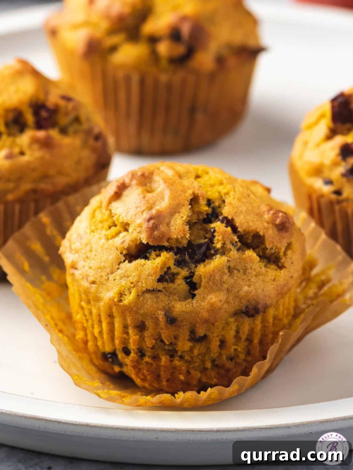 Autumn Spice Cranberry Pumpkin Muffins 4 A single cranberry pumpkin muffin, delicately placed in a paper liner on a small plate, showcasing its soft interior and perfect domed top, ready for a bite.