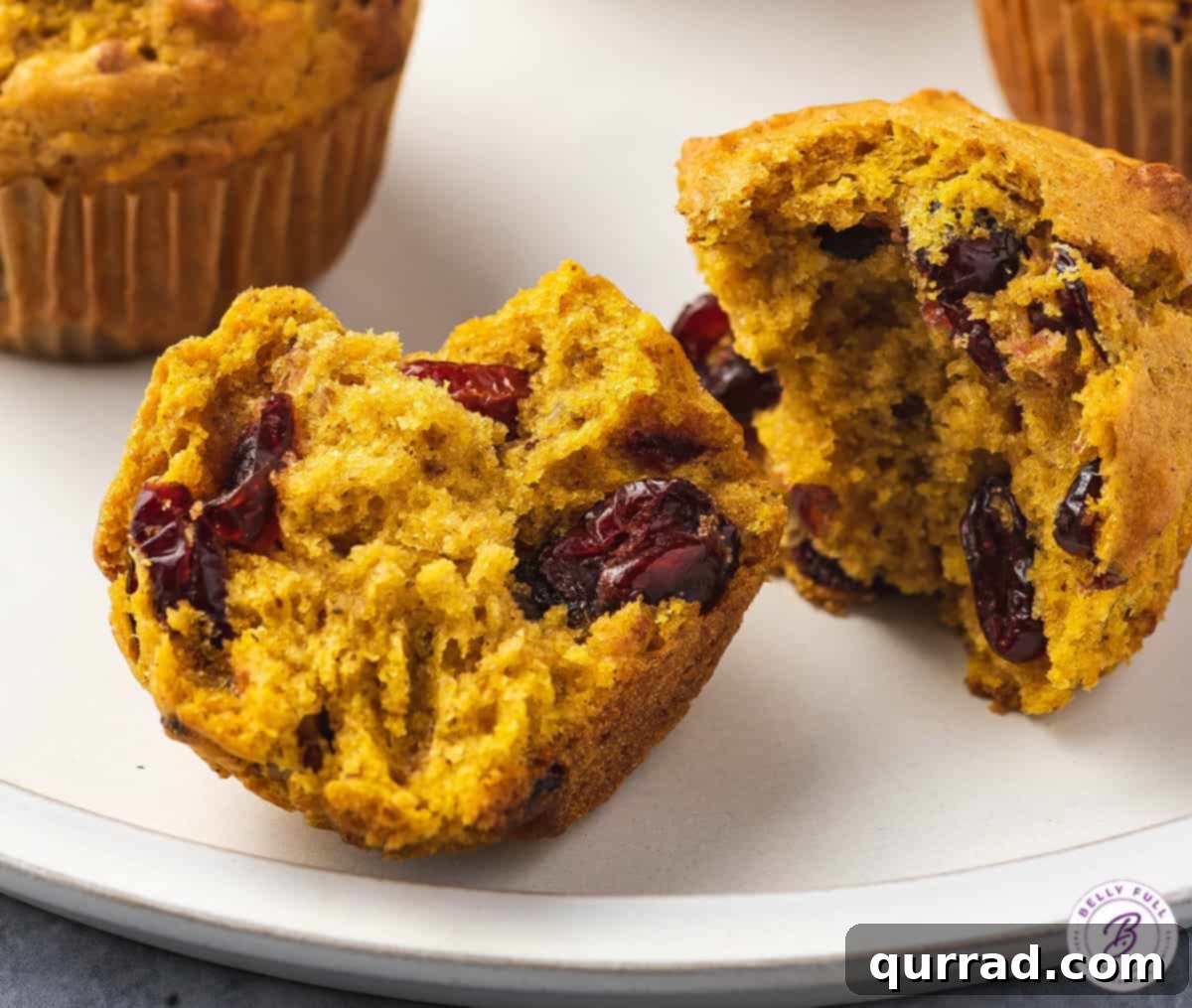 Autumn Spice Cranberry Pumpkin Muffins 5 A close-up shot of a cranberry pumpkin muffin, split in half to reveal its moist, tender interior studded with colorful cranberries and crunchy pecans.