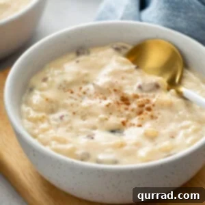 Bowl of Bliss 6 Close-up of a bowl of creamy rice pudding with a spoon, highlighting its rich texture and a hint of cinnamon on top.