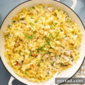 overhead tuna noodle casserole with potato chips