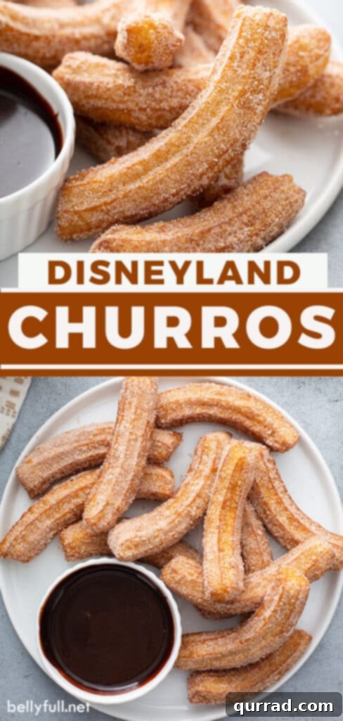Homemade Disney Park Churros Recipe 8 A Pinterest graphic inviting users to pin the churros recipe for later, featuring a mouth-watering image of the dessert.