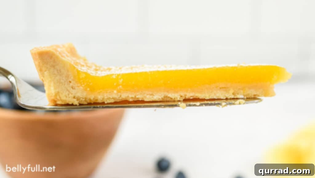 A perfectly cut slice of lemon tart gracefully resting on a metal serving spatula, showcasing its smooth curd and crisp crust.