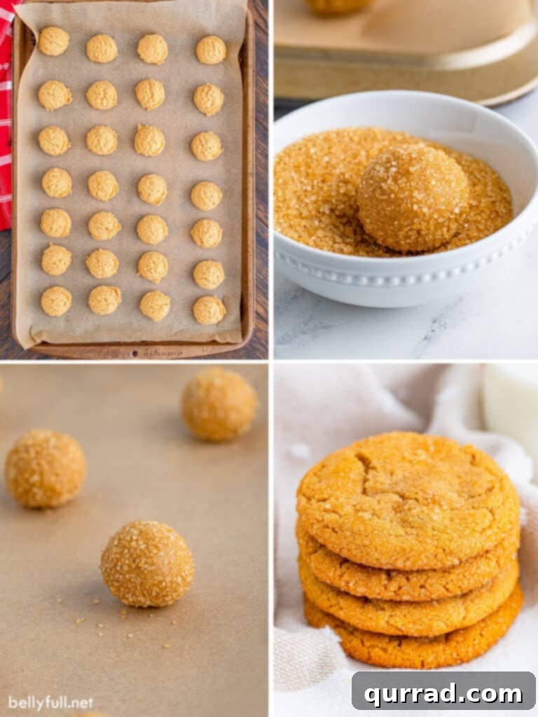 Golden Brown Sugar Delights 3 4 picture collage how to make cookies