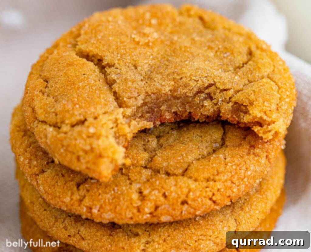 Golden Brown Sugar Delights 5 close up brown sugar cookie with bite taken