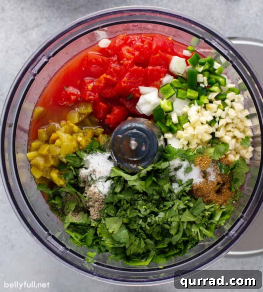 salsa ingredients in food processor bowl