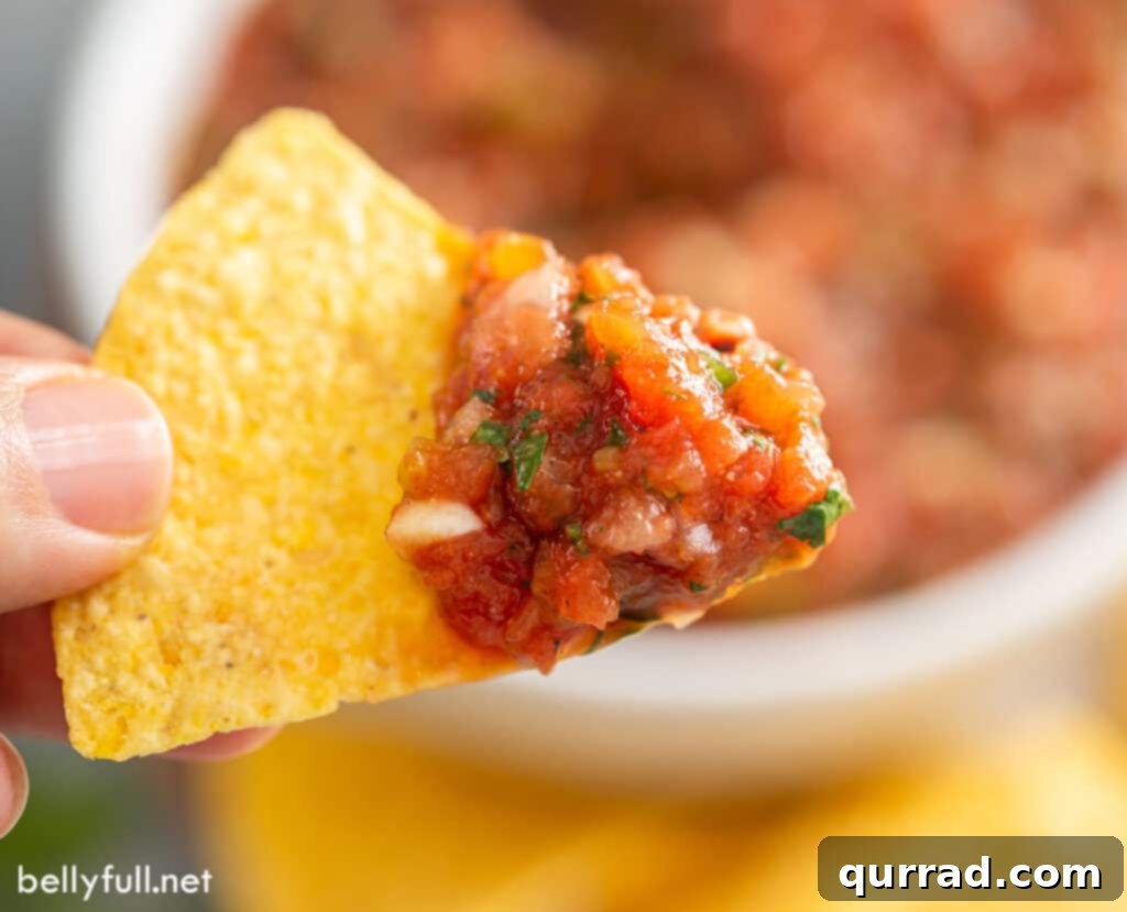 blender salsa on tortilla chip close up