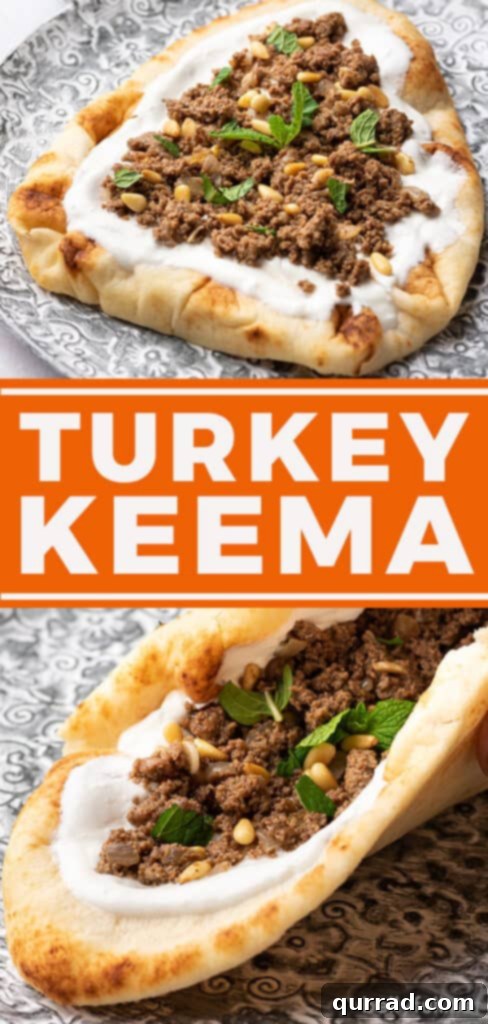 Spiced Turkey Mince 6 Pin for turkey keema recipe