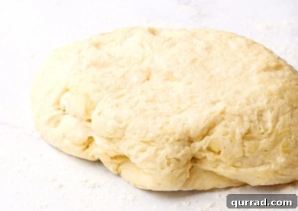 Pillowy Indian Flatbread 7 Risen raw dough on a floured surface, gently deflated and ready for dividing