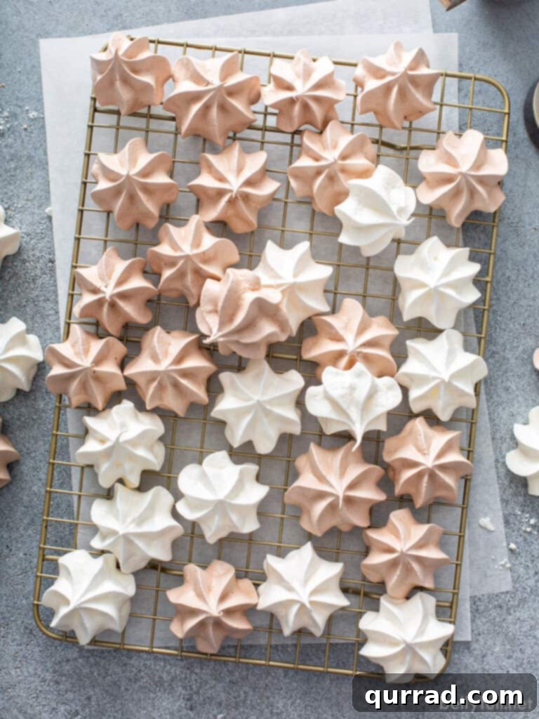 Melt-Away Meringues 2 Delicate vanilla and chocolate swirl meringue cookies arranged on a wire cooling rack, highlighting their crisp texture and beautiful piped shapes.