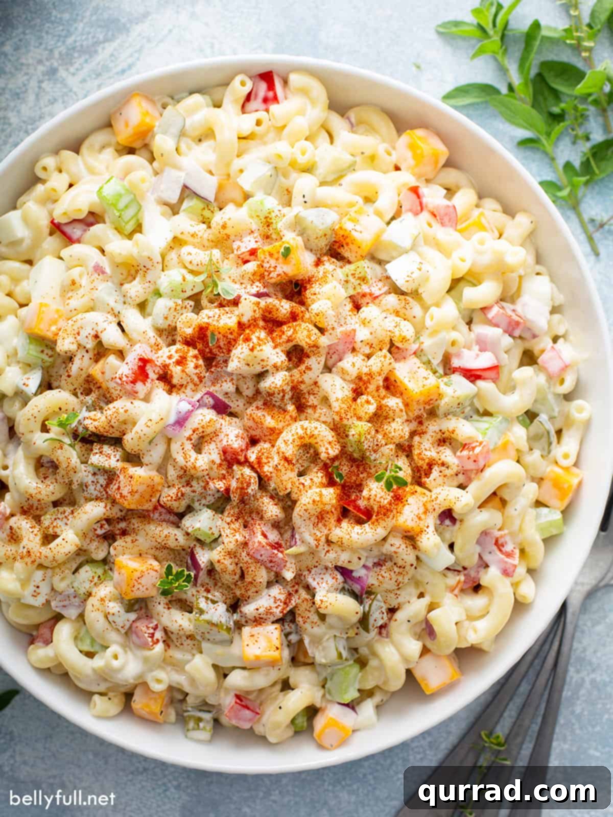 Perfect Picnic Macaroni Salad 2 Aerial view of a big bowl of macaroni salad with egg, topped with paprika, ready to be served