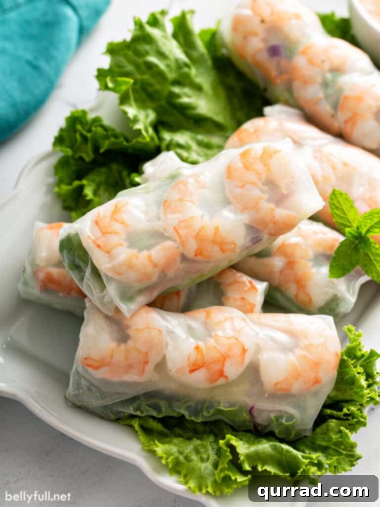Close-up of fresh shrimp spring rolls on a lettuce-lined white plate, highlighting vibrant ingredients