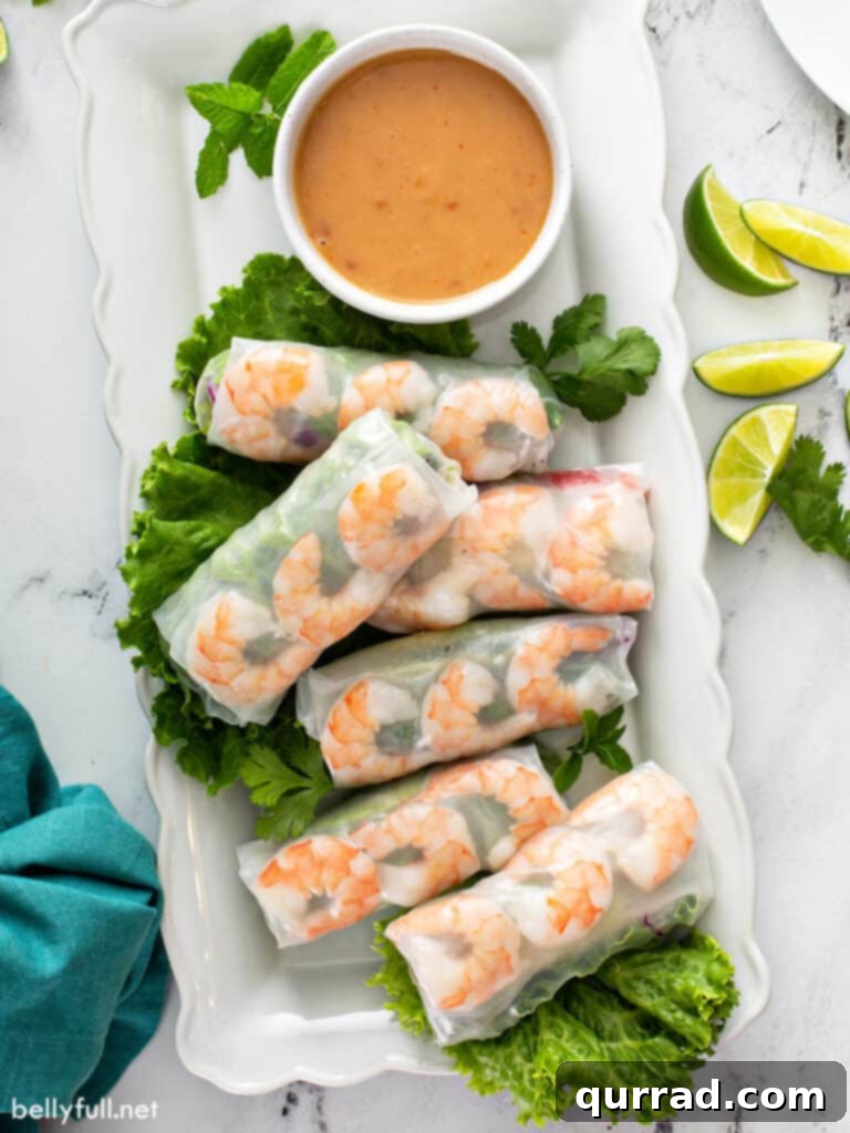 Overhead view of six neatly arranged Vietnamese Shrimp Spring Rolls on a white plate
