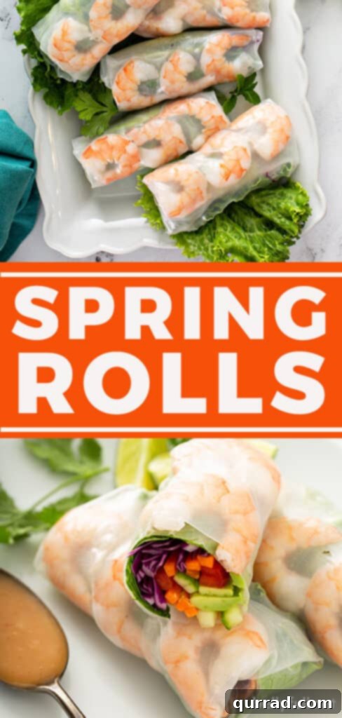Pin image for the fresh spring rolls recipe