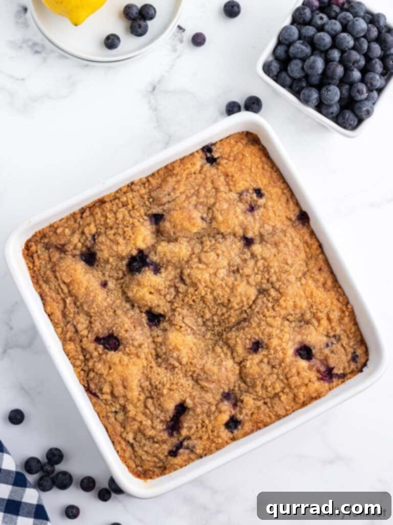 overhead baked coffee cake in white pan with cup of fresh blueberries