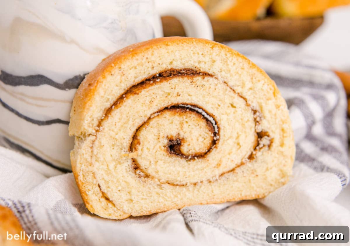 Sweet Cinnamon Swirl Loaf 3 A single, perfectly cut slice of homemade cinnamon swirl bread, revealing the intricate cinnamon layers.
