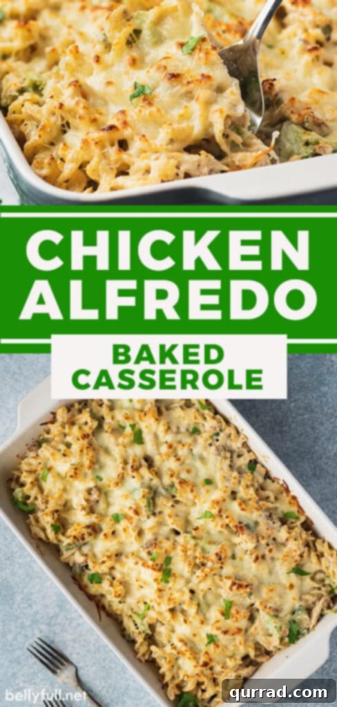 A Pinterest-friendly image for chicken alfredo bake recipe, showing the finished dish