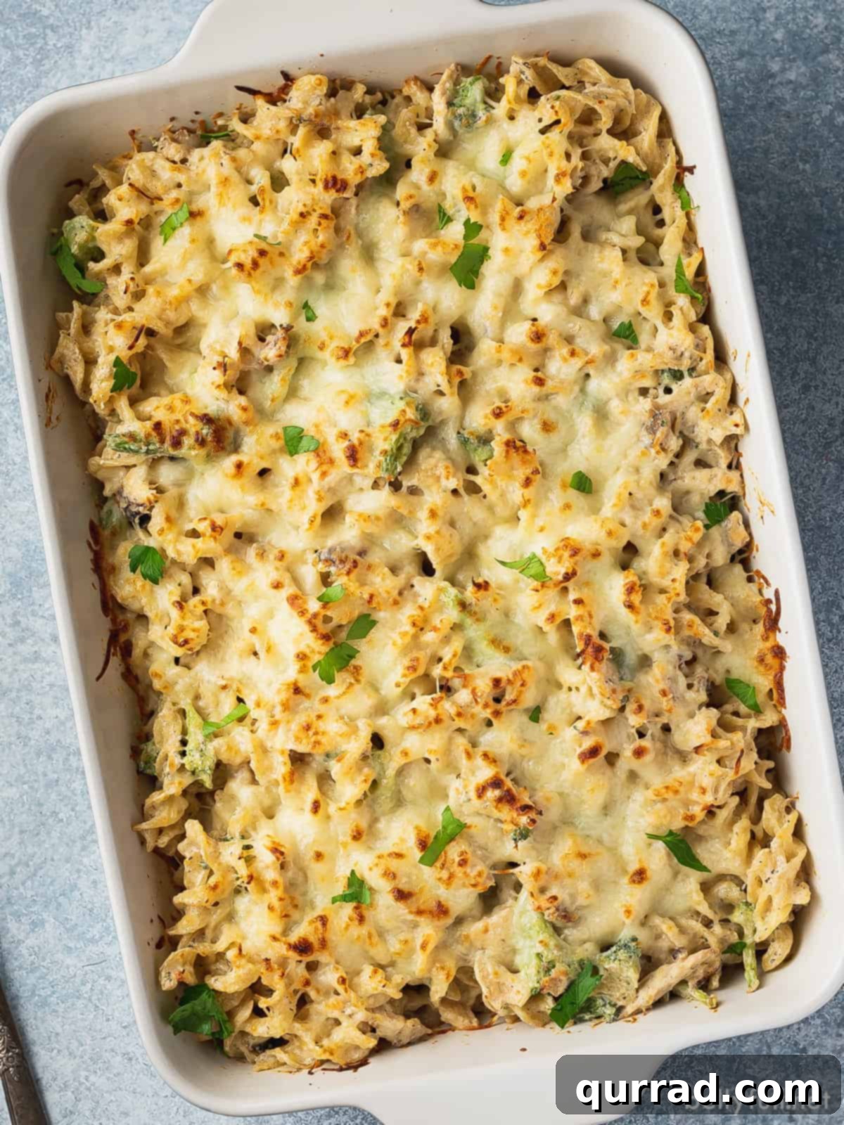 A baking dish of golden-brown chicken alfredo bake, fresh from the oven