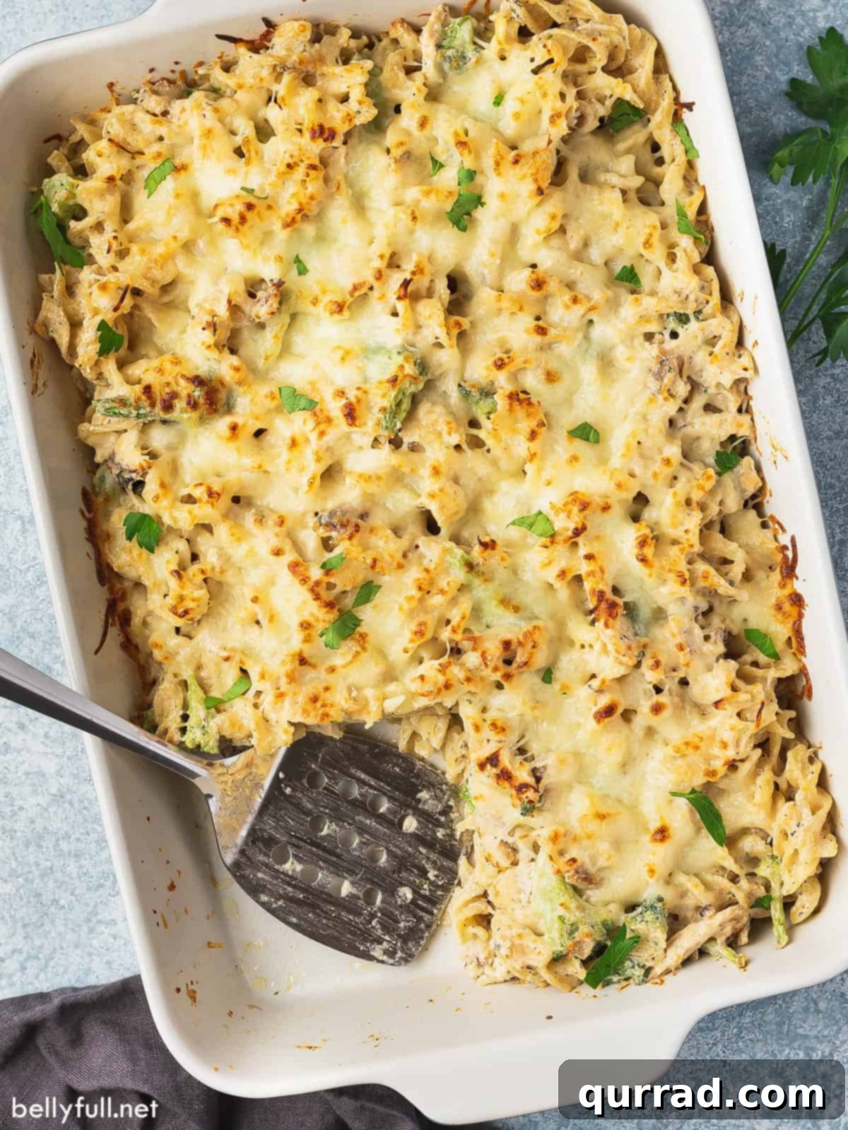 Chicken alfredo casserole with one serving missing, showing the creamy interior