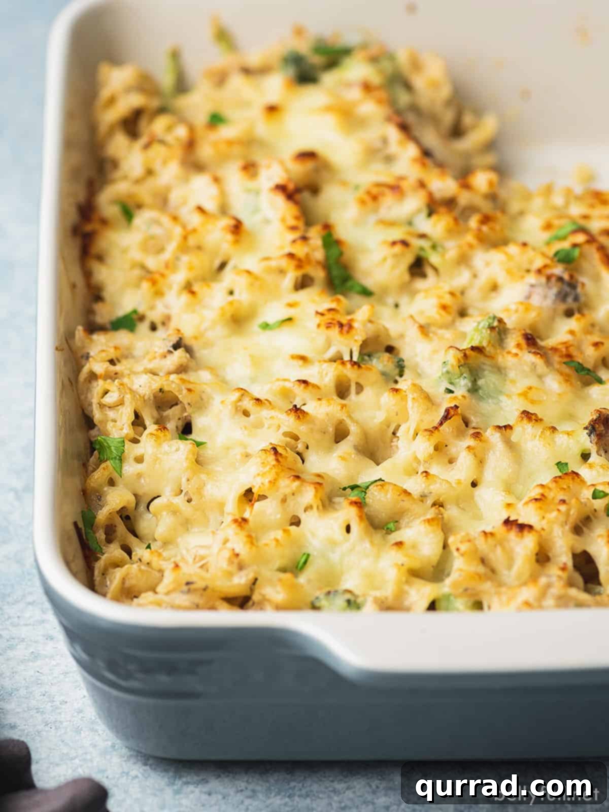 Chicken alfredo bake in a casserole dish, topped with golden melted cheese and fresh parsley
