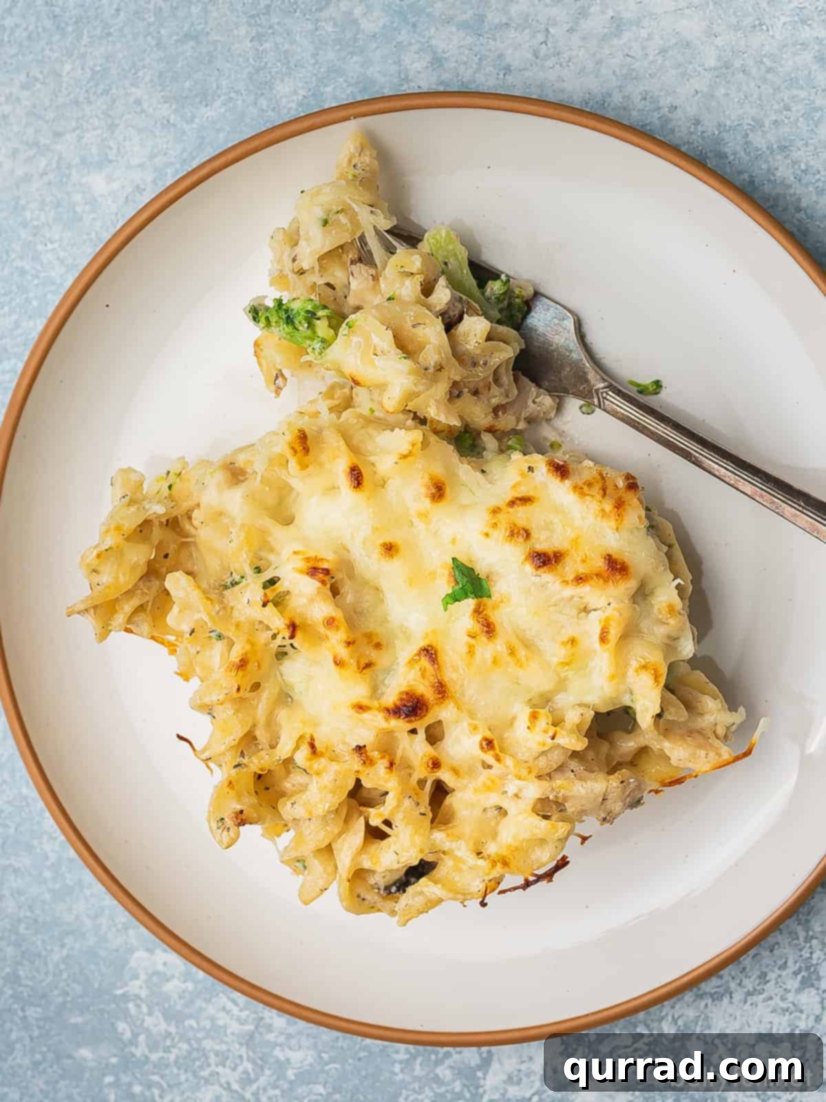 A single serving of chicken alfredo bake on a white plate, garnished with fresh parsley