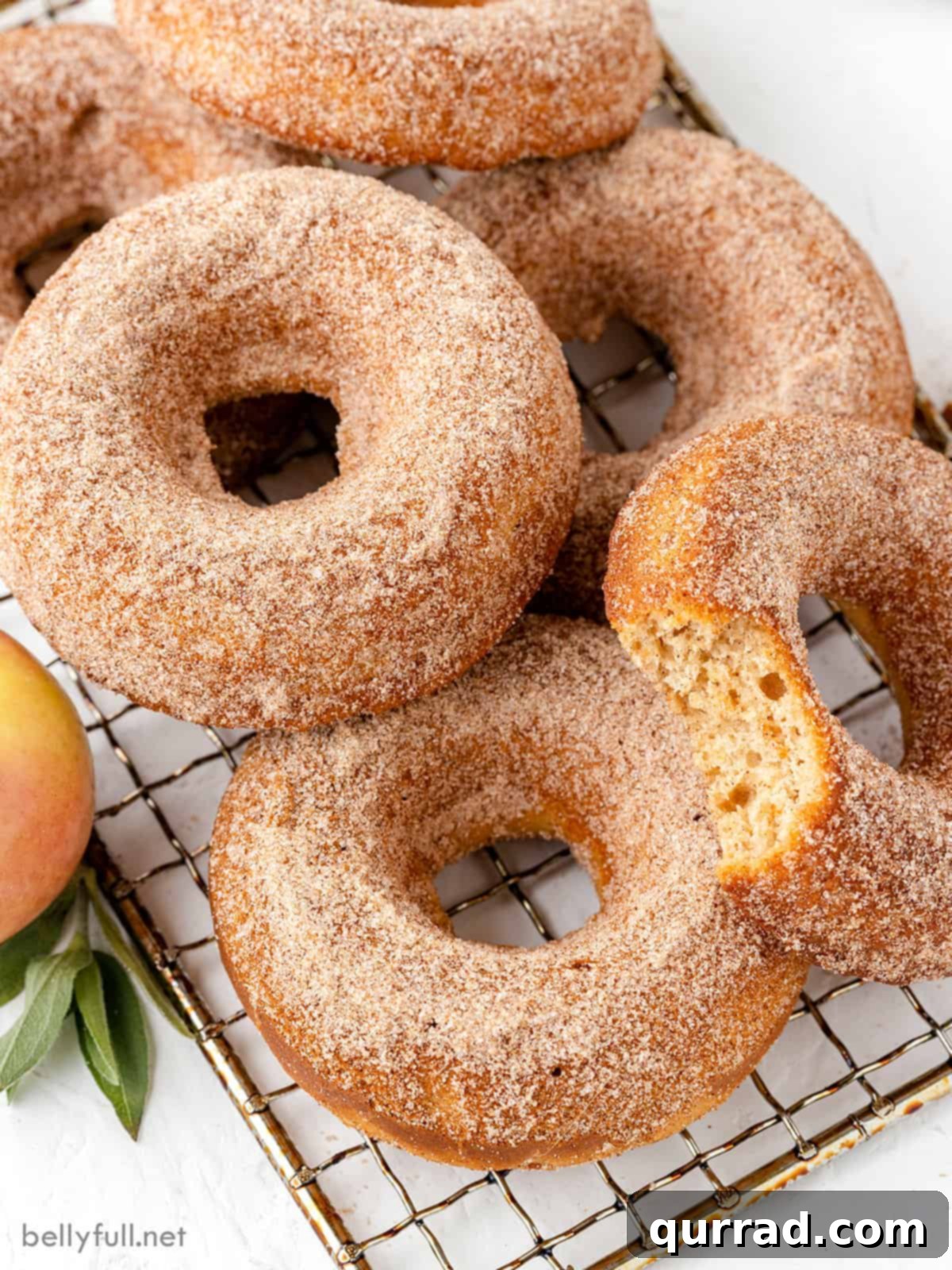 Close-up of baked apple cider donuts with one missing a bite