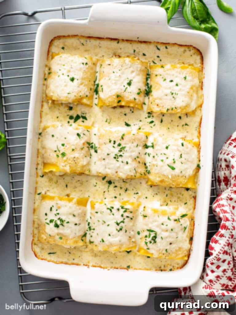 9 chicken alfredo lasagna rolls in baking dish