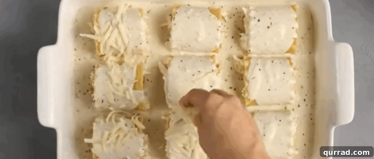 Lasagna roll ups in a baking dish covered with Alfredo sauce and cheese. 