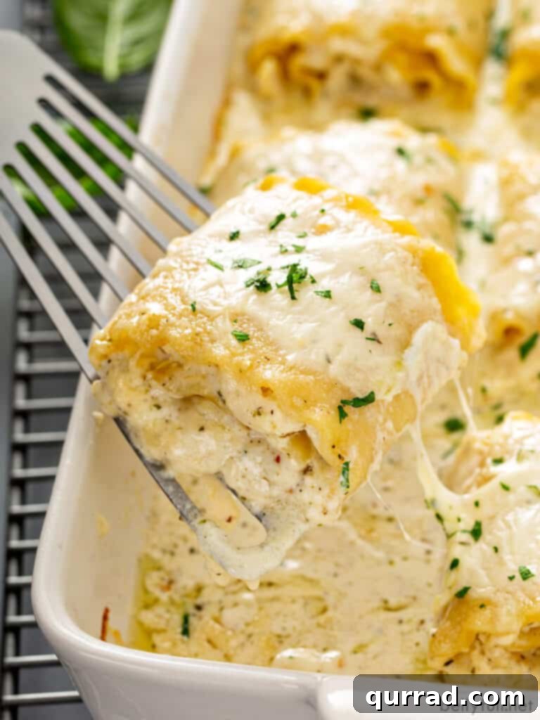 Chicken Alfredo lasagna roll being lifted out of the baking dish with a spatula.