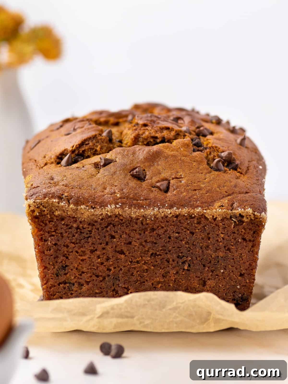 Harvest Pumpkin Chocolate Chip Loaf 3 A perfectly baked loaf of pumpkin chocolate chip bread, golden brown with a visible cinnamon-sugar crust.