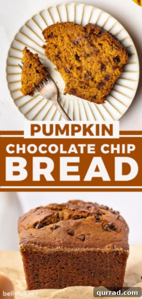 Harvest Pumpkin Chocolate Chip Loaf 5 Pin for Pumpkin Chocolate Chip Bread Recipe, showing a beautifully baked loaf ready for sharing on social media.