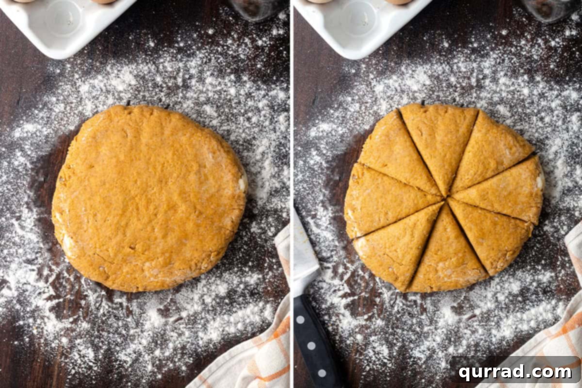 Pumpkin scone dough shaped into a circle and cut into wedges