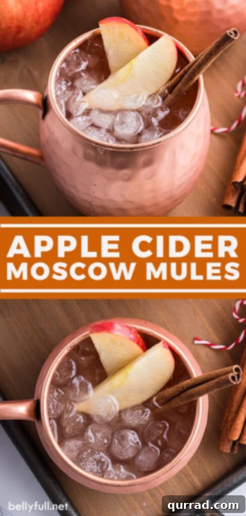 Crisp Apple Mule 5 Two images of delicious Apple Cider Moscow Mules presented in traditional copper mugs, showcasing the perfect fall beverage.