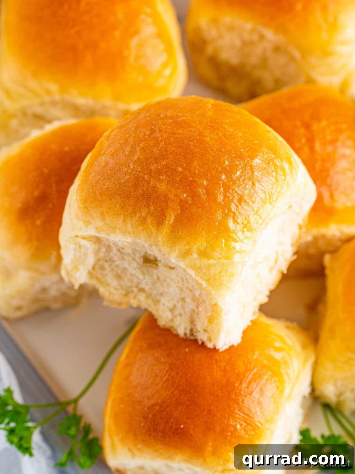 Pillowy Dinner Rolls 2 Overhead view of homemade dinner rolls on a plate, golden brown and perfectly baked
