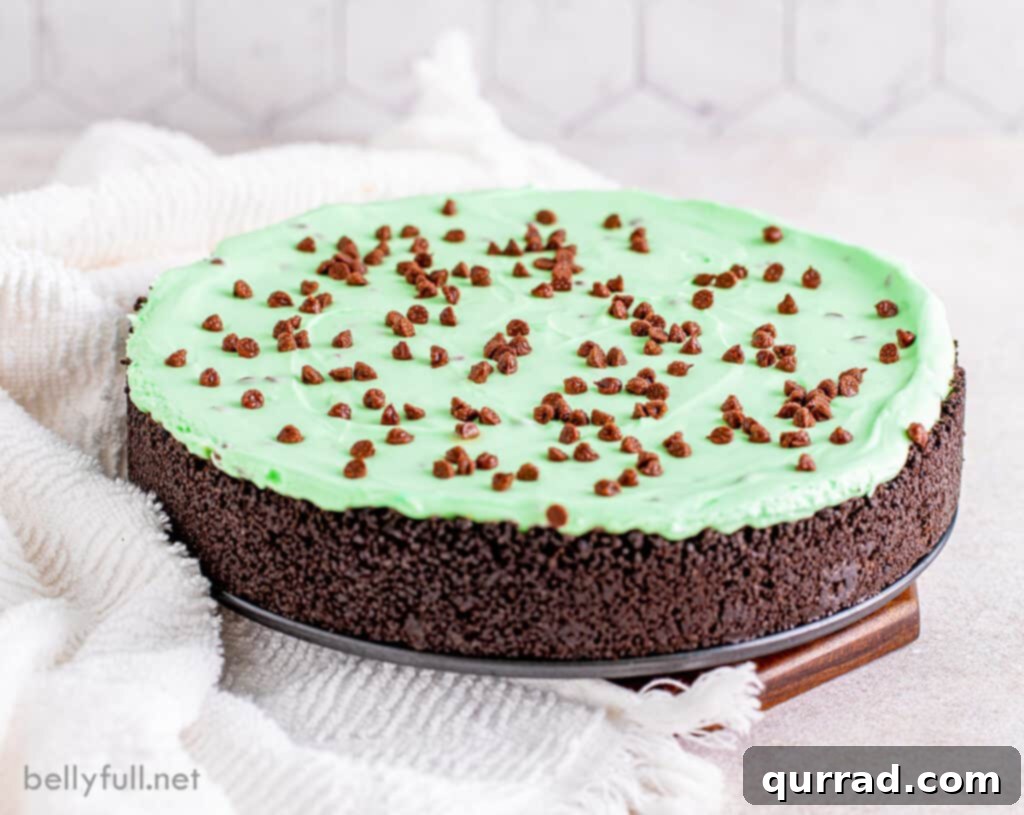 Effortless Mint Chocolate Chip Cheesecake 3 A whole Mint Chocolate Chip No Bake Cheesecake sitting on a cake stand, revealing its vibrant green filling and dark Oreo crust.