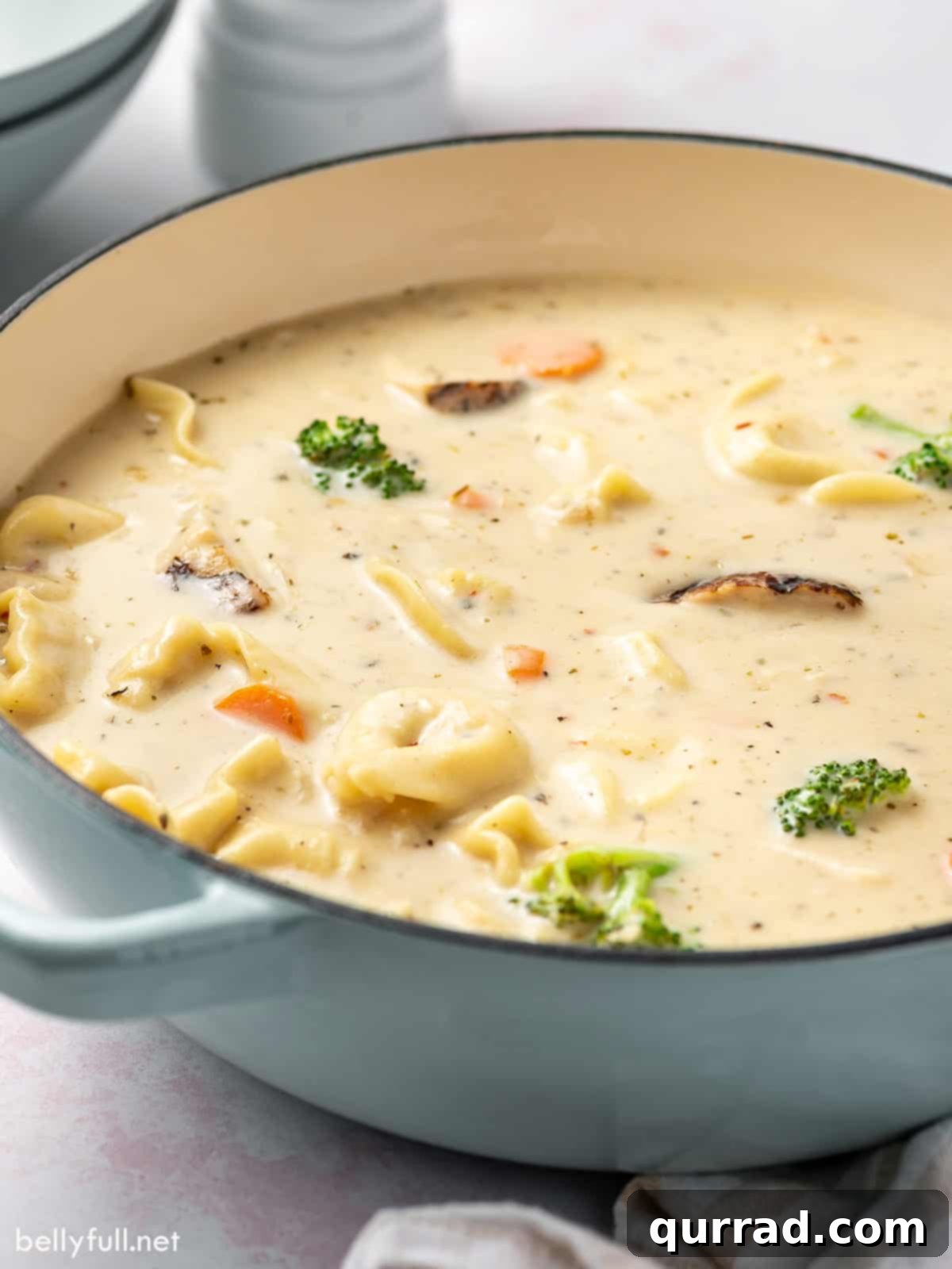 Creamy Parmesan Chicken Tortellini Soup 3 A large pot filled with creamy chicken alfredo tortellini soup, ready to be served.