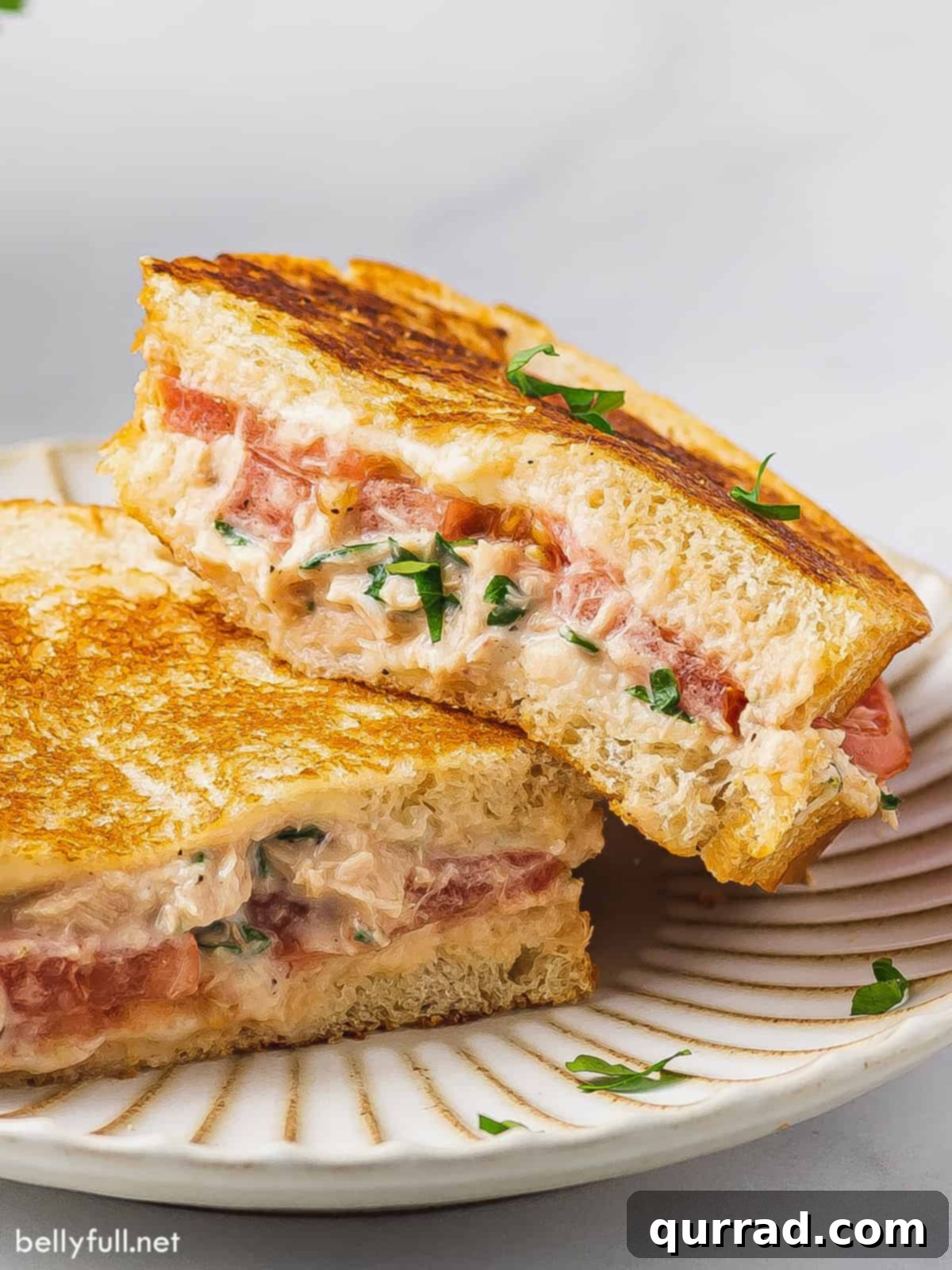Gourmet Tuna Grilled Cheese 2 A perfectly grilled tuna melt sandwich, cut in half, with one half leaning on the other, revealing its melted cheesy, tuna-filled interior.