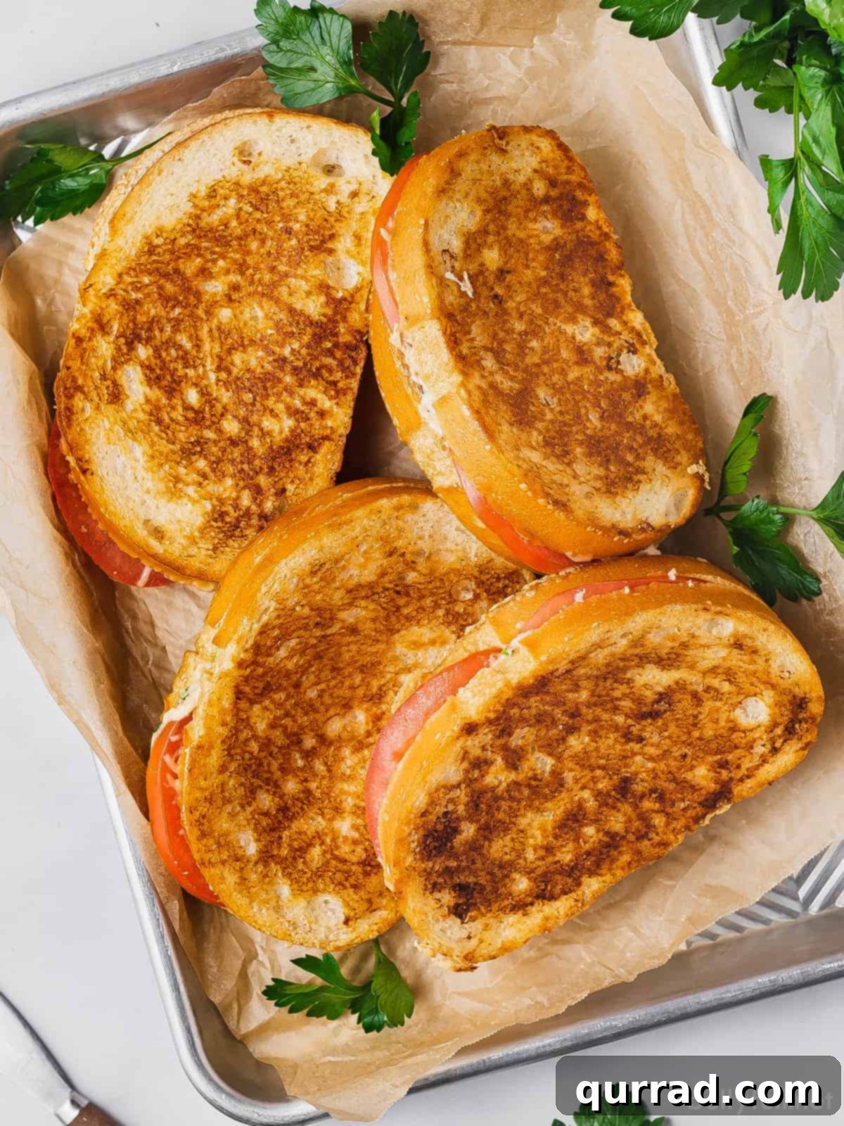 Gourmet Tuna Grilled Cheese 4 An overhead view of four perfectly grilled tuna melt sandwiches, showing the golden-brown bread and the appealing fillings.