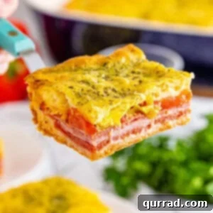 Savory Antipasto Squares 5 A spatula serving a hot antipasto square