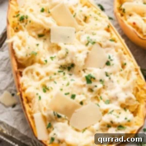 Creamy Spaghetti Squash Alfredo 5 half of a roasted spaghetti squash mixed with alfredo sauce, garnished with parsley