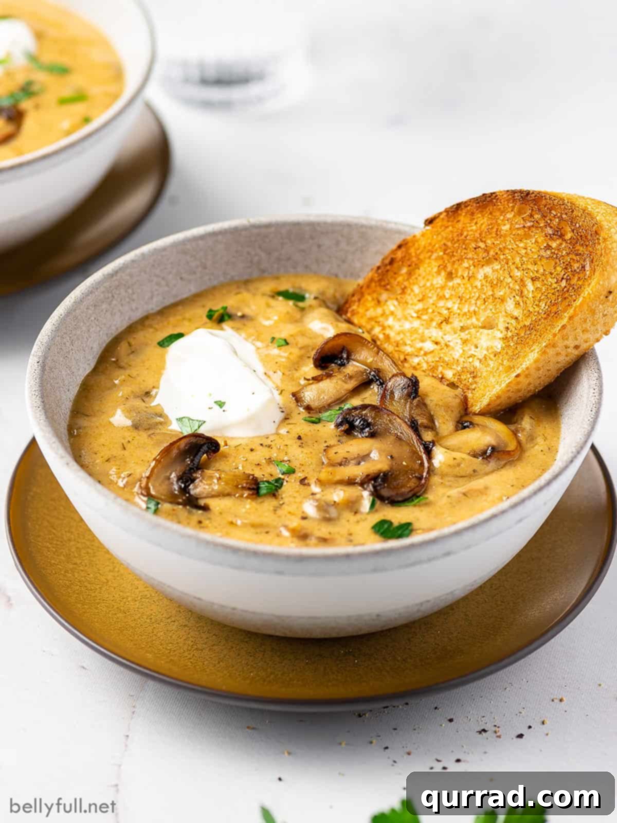Creamy Paprika Mushroom Soup 2 A steaming bowl of Hungarian mushroom soup garnished with fresh dill and a side of crusty bread