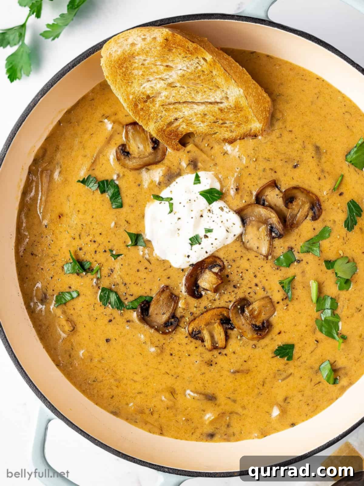 Creamy Paprika Mushroom Soup 4 Overhead view of a bowl of Hungarian mushroom soup with garnishes and bread