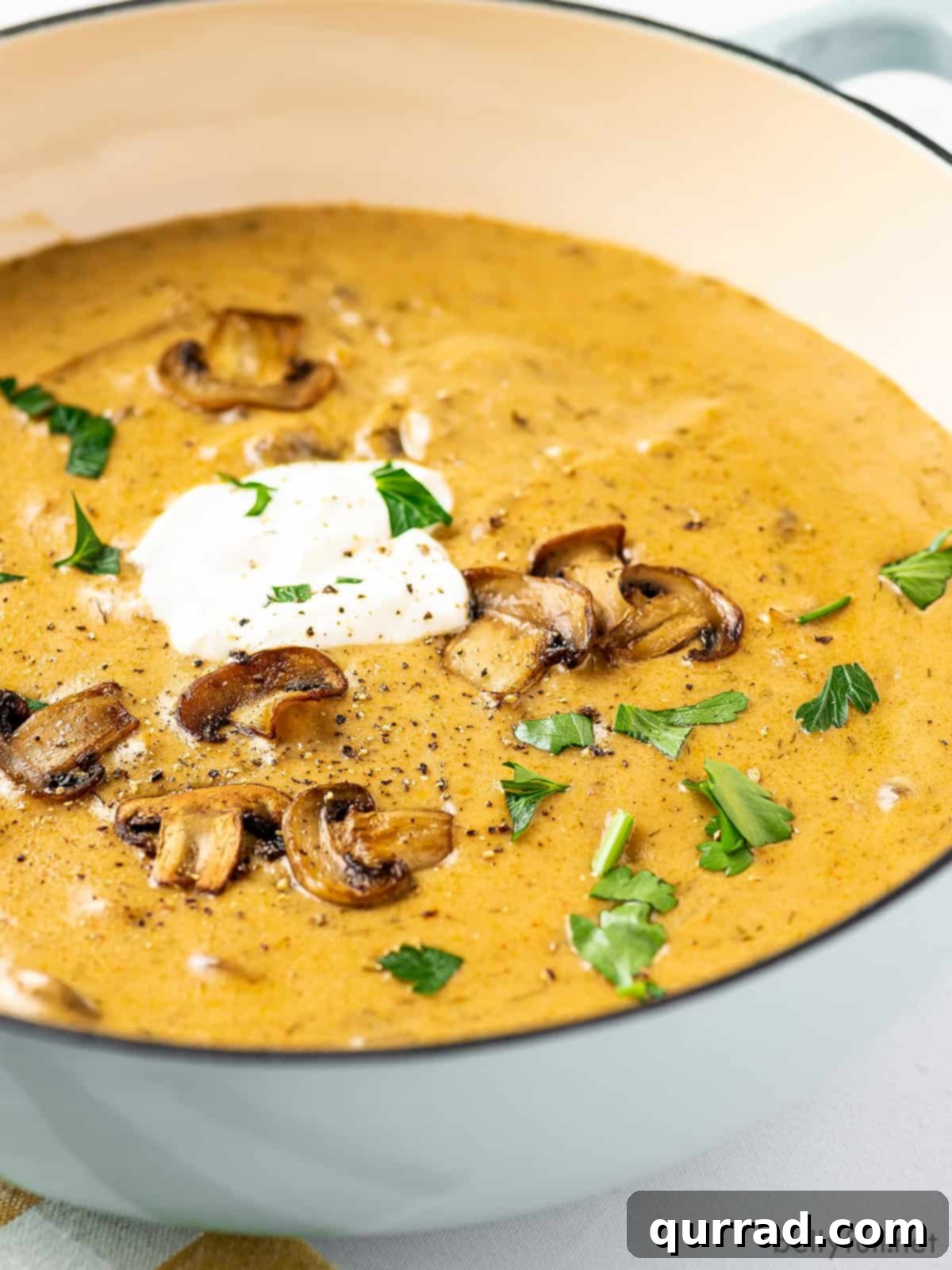 Creamy Paprika Mushroom Soup 5 Angled view of a bowl of Hungarian mushroom soup ready to be enjoyed