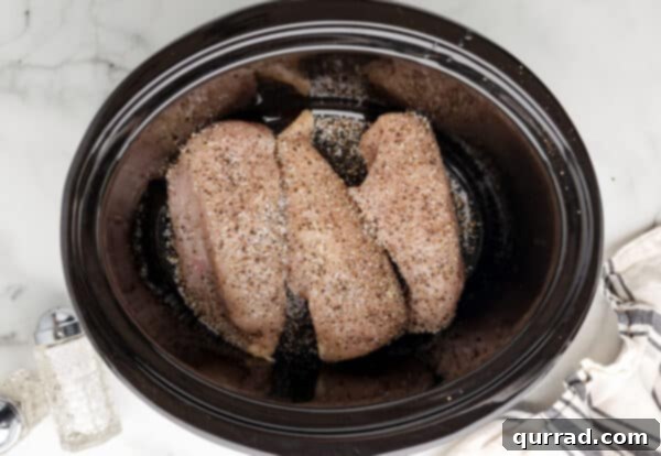 Chicken breasts seasoned in crockpot